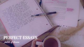 A+ paper ∣ perfect essay writing skills