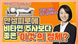 [ENG SUB]만성피로 없애려면 ‘이것'을 먹어라! - 간과 위를 되살리는 음식