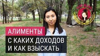 Алименты. С каких доходов и как взыскать?