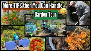 PACKED Garden Tour on Growing Tomatoes Vegetables & More Cheap Raised Bed & Container Gardening