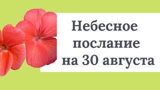 Небесное послание на 30 августа. Радость жизни.