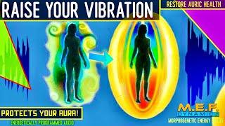 Raise Your Vibration (Morphogenetic Programmed Audio)