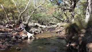 Cave Creek Canyon, AZ