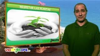 06. La nutrición de las plantas. 5º Conocimiento del Medio. Videoprofe.net