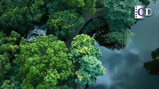 A Piece of Heaven on Earth【Chinese Garden】Ep1 | China Documentary