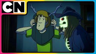 Scooby Surfs to the Rescue! | Scooby Doo Cartoon | Compilation | Cartoon for Kids | @cnindia