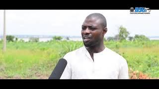 VEGETABLE farming in Makurdi, Nigeria