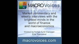 MacroVoices #382 Dr. Pippa Malmgren: A Tale of Two Civil Wars