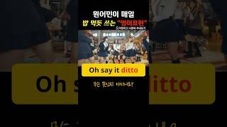일상생활 영어표현, 영어패턴 익히기, 영어회화 ⭐ 242
