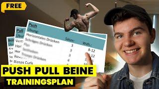 Dein kompletter TRAININGSPLAN PPL (PUSH, PULL, BEINE) - KOSTENLOS