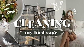 CLEANING MY BIRDCAGE + how i make chop  | what’s in my cockatiels cage?