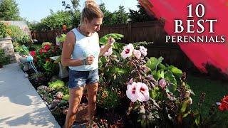 10 BEST perennials for your garden! | Lots of colorful flowers!