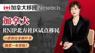 一步到位拿枫叶卡的快速联邦移民项目——加拿大RNIP北方社区试点移民，快至一年获批！简单快速移民大国的首选#加拿大移民#移民加拿大#移民#加拿大#雇主担保移民#加拿大雇主担保#枫叶卡