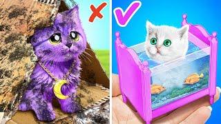 Please Save Tiny Kitten!  Secret House for Cat  *Cool Pet Gadgets and Miniature Crafts for Dolls*