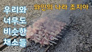 조지아 농촌 텃밭 이야기 2/우리와 너무도 비슷한 채소들