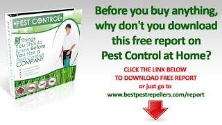 Tomorrowsgarden - Product Review: Hoont Indoor Plug-in Ultrasonic Pest Repeller - Tomorrowsgarden