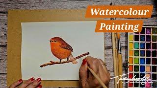 Watercolor Robin Painting for Beginners | Easy Step-by-Step Tutorial for STUNNING Art!