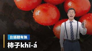 【台語聽有無】柿子相關台語按怎講｜台語新聞 #鏡新聞