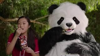 Hungry Panda? Hello Panda! (16)