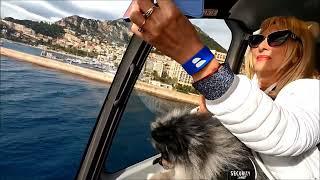 Helicopter flight over Monaco with my Pomeranian - Airbus H130