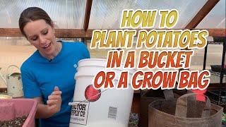 How to Plant Potatoes in a Bucket or a Grow Bag