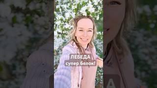 Дикоросы - лечебная еда! Сорняки-суперфуды #травы