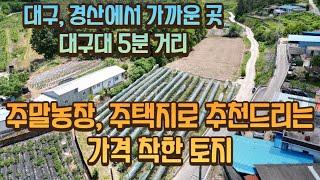 영천시 금호읍, 대구 경산에서 가까운, 대구대 5분 거리, 계획관리 저렴한 토지매매