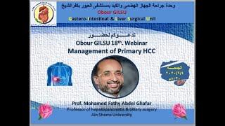 Management of primary HCC, Prof Mohamed Fathy Abdel Ghaffar, Ain Shams