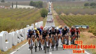 Evenepoel DESTROYS the Whole Team | Vuelta Stage 9 2023