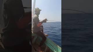 Pesta Strike Ikan Kakap Merah #shorts #fishing #fishingtrip #mancingmania #fishingvideo