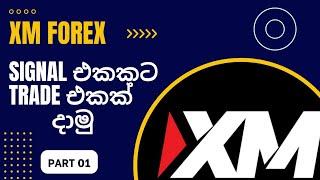 How to trade in xm with signals | In Sinhala | 2023 New