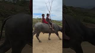 Buhay ng mga katutubong aeta sa bundok