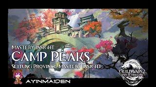 GW2 - Seitung Province Insight: Camp Peaks