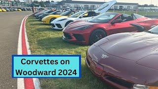 2024 Corvettes on Woodward at M1 Concourse #Corvette #WoodwardDreamCruise #M1Concourse