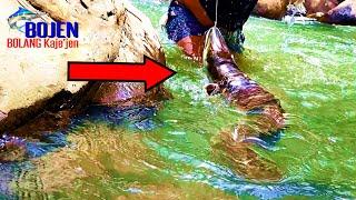 GIANT FRESHWATER EEL FISHING STRIKE - Best Fishing #BOJEN