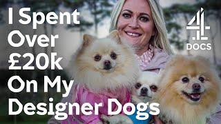 My Designer Dogs Are My Babies | Outlandish | Channel 4