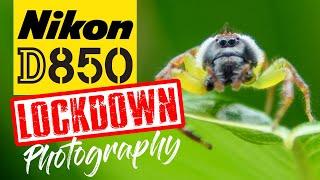 Nikon D850 Lockdown Photography | Ideas For Around Home