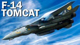 F-14 Tomcat: el caza de TOP GUN
