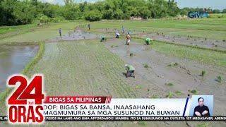 DOF - Bigas sa bansa, inaasahang magmumura sa mga susunod na buwan | 24 Oras