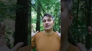 Как раскрутить свой интернет магазин гарантированно. Всего один маркетинг совет