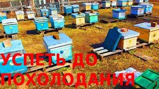 Развития нет - погоды нет/ Большая весенняя ревизия второго точка/выбраковка суши/пополнение кормов