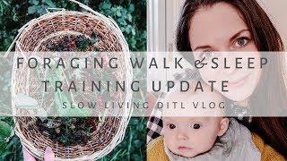 Autumnal Foraging & Sleep Training Update with my 5 month old baby-Slow living DITL Vlog