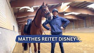 ⁠Matthes reitet Disney | 2 Tage Vlog