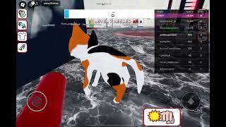  Mega CAT Simulator Roblox  #shorts #catsimulator  #robloxgames #viral #cat