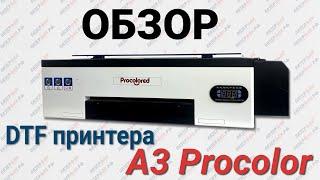 Обзор текстильного DTF принтера Procolor А3 формата