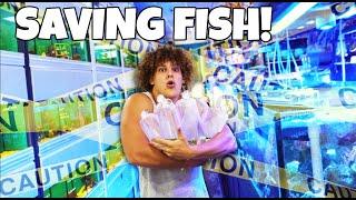 Saving AQUARIUM FISH From CLOSING Fish STORE!