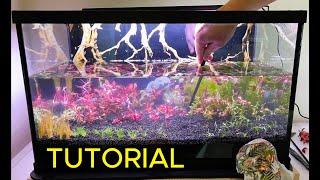 Ep1. The Beginner's Guide to NO Filter, NO CO2 Walstad Method Tanks