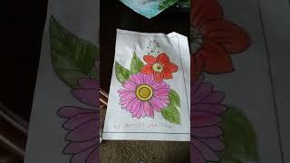 adult Color of  pink  daisies flower  please subscrbie