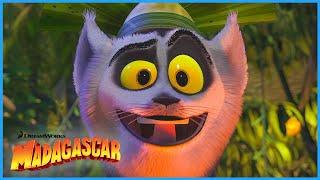Meeting King Julien!  | DreamWorks Madagascar