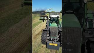 #landwirtschaft #fendt #traktor #ernte #agriculture #häckseln #2024 #farming #krone #grasernte